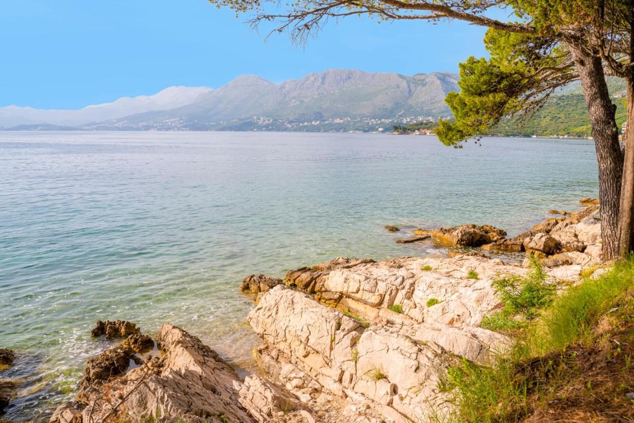 Cavtat - Panoramic Sea View Leilighet Eksteriør bilde