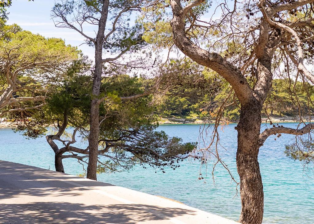 Cavtat - Panoramic Sea View Leilighet Eksteriør bilde